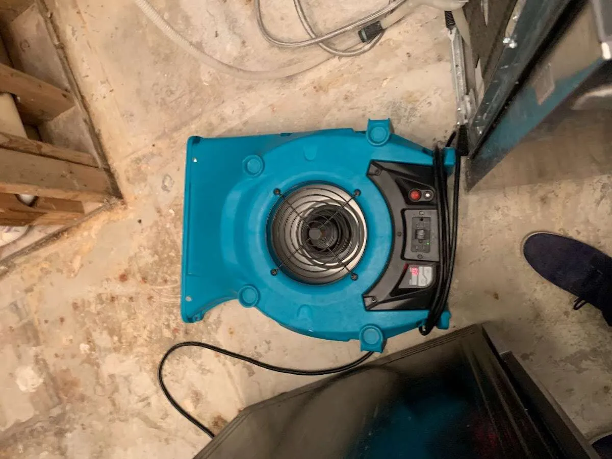 Air mover drying equipment for Mold Remediation & Removal in Sandy